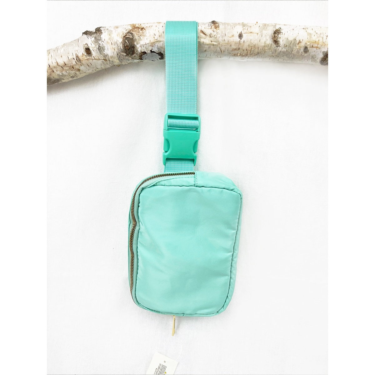 Crossbody Belt Bag
